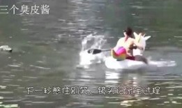 雨梅电影在线观看,在线观看，感受浪漫雨夜中的爱情传奇